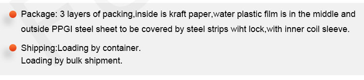 PPGI steel coil (13)