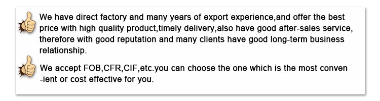 PPGI roofing sheet (9)