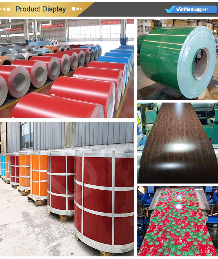 PPGI steel coil (8)