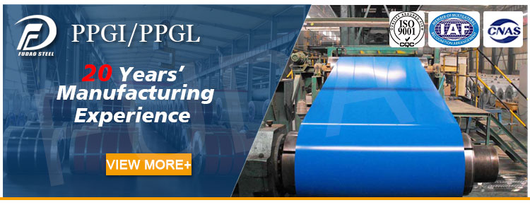PPGI steel coil (1)